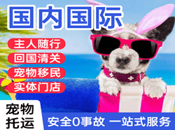 宁波栎社机场邮寄国际宠物托运 【国